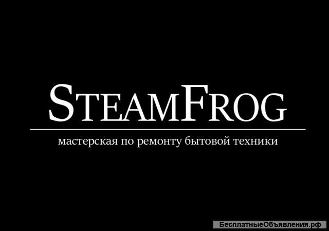 Ремонт бытовой техники - мастерская "SteamFrog"