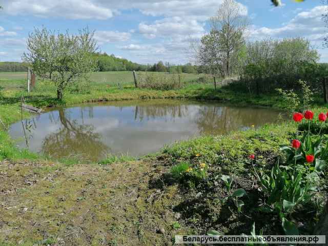 Дом Смородина в З2 км до Витебска по Витебскому шоссе, на половине дороги от границы РФ