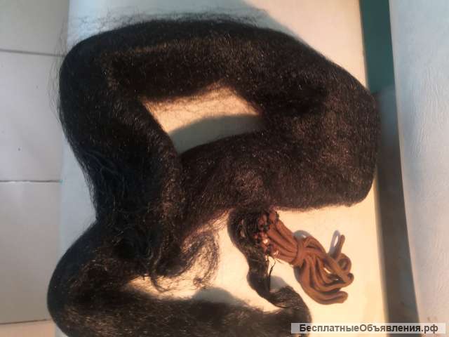 Арнитологические сети паутины с блокадой от ветра