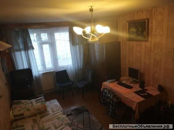 1 к. квартира в экологически чистом благоустроенном районе спб