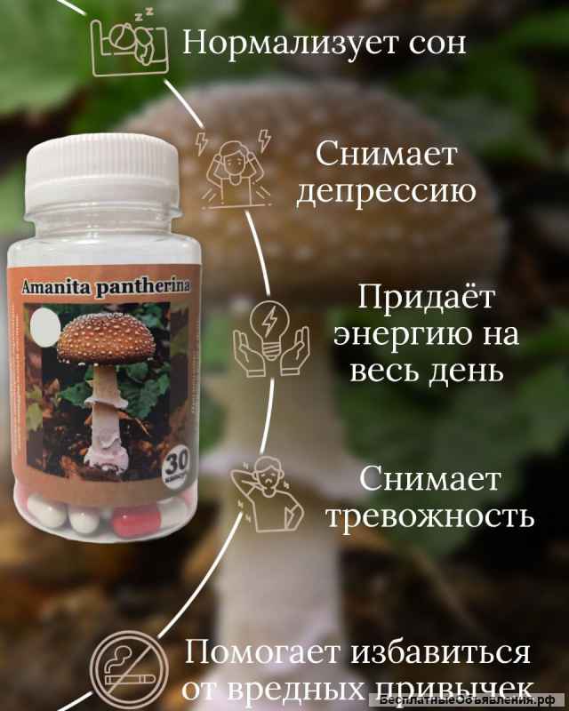 Мухомор сушеный