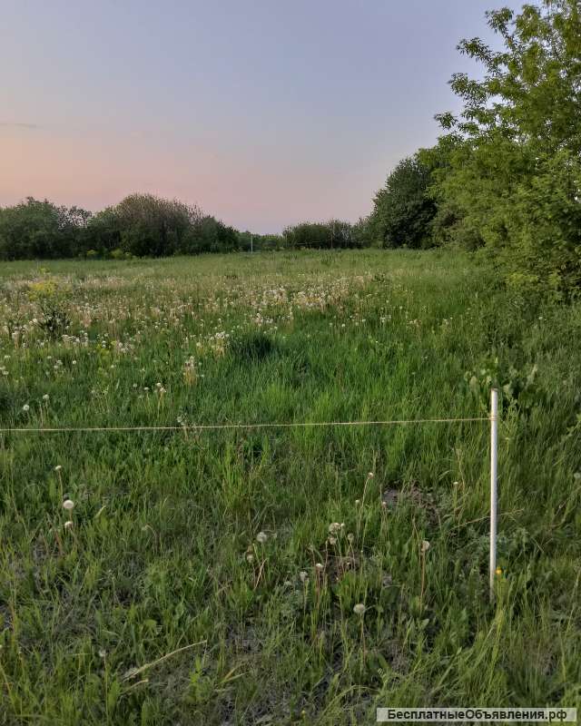 Экологическое, живописное, место