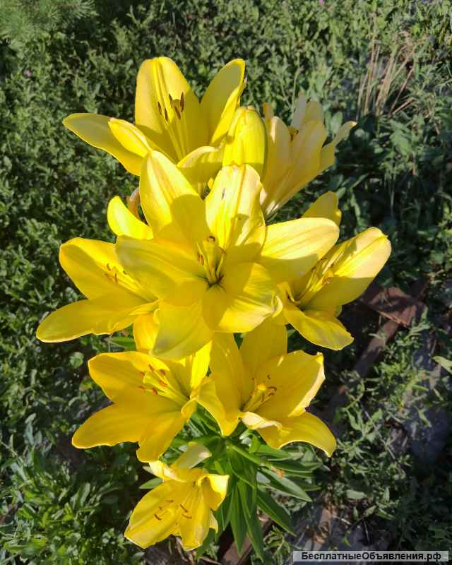 Экологическое, живописное, место