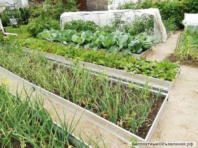 Грядки оцинкованные для огорода высокие борта 40см