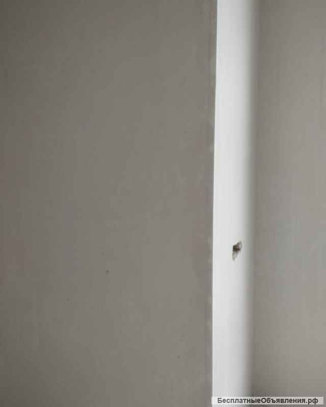 Механизированная штукатурка и стяжка пола