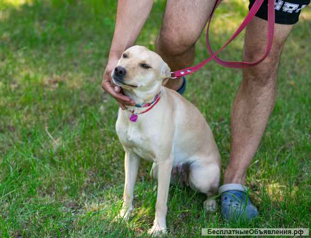Лада малышка, покорит ваше сердце с первой минуты