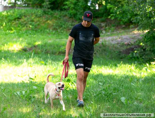 Лада малышка, покорит ваше сердце с первой минуты