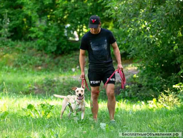 Лада малышка, покорит ваше сердце с первой минуты