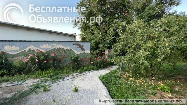 Большой Дом + Времянку в экологически чистом районе с.Орто-Сай