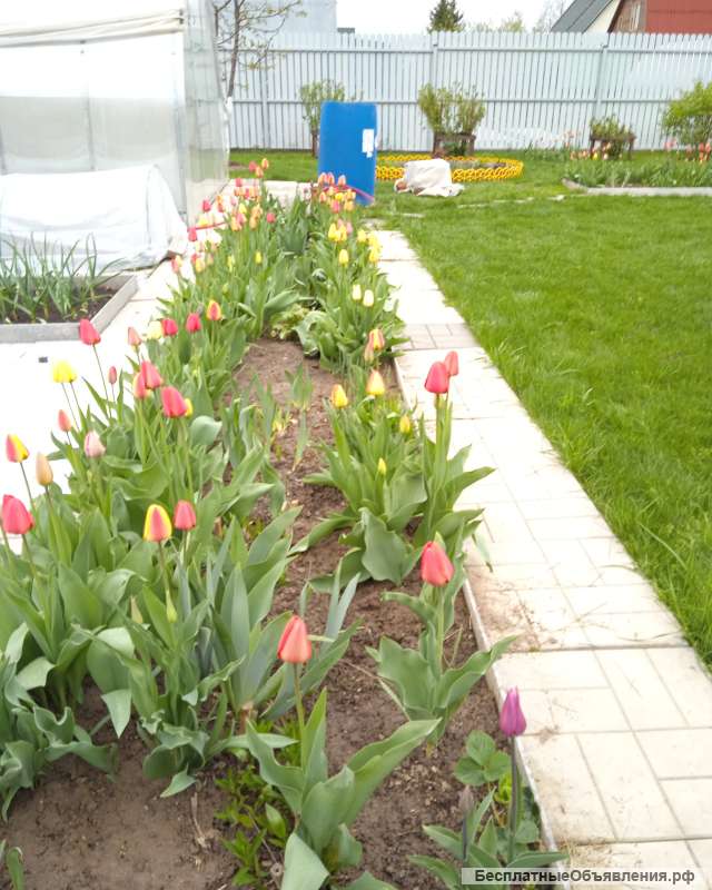 Жилой дом на земельном участке