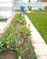 Жилой дом на земельном участке