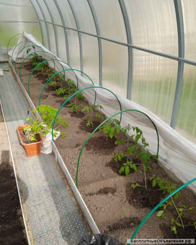 Жилой дом на земельном участке