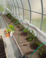 Жилой дом на земельном участке