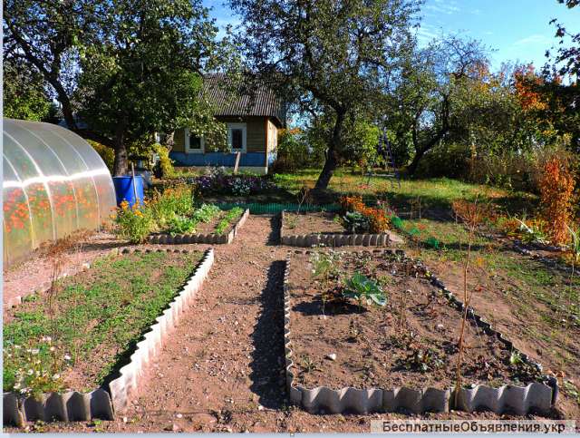 Дом в белорусской деревне