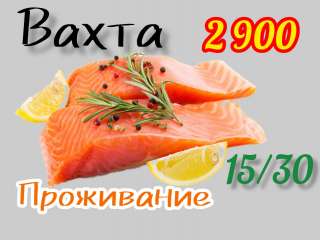 Работа вахтой 15/30 в Москве с проживанием и питанием упаковка / фасовка