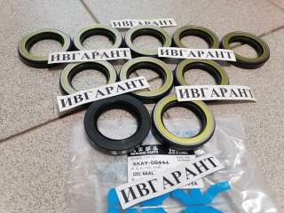 4310055 Сальник 4310055