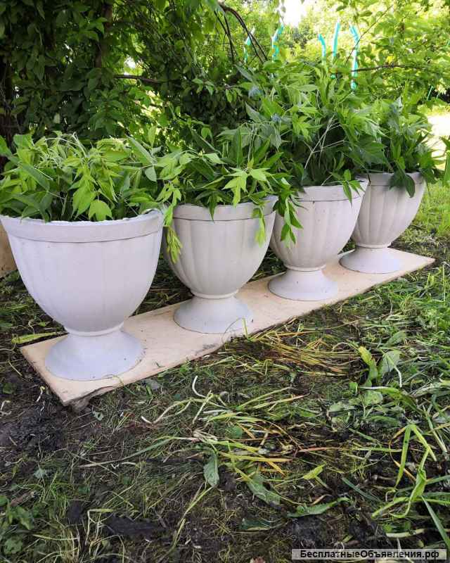 Тротуарная плитка