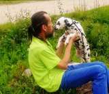 Далматин. Породные. Те самые из фильма. Не "долматинцы" -а именно " ДАЛМАТИН "