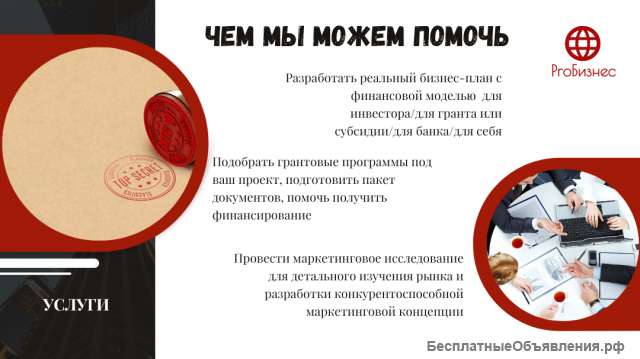 Бизнес-план для инвестора/ банка/ субсидии