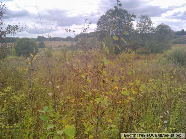 10 соток в жилой деревне. ЛПХ. Рядом река, лес, водохранилище