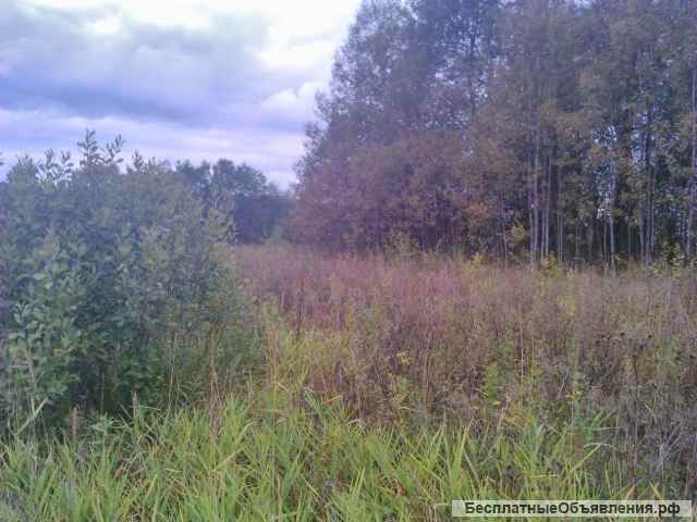 10 соток в жилой деревне. ЛПХ. Рядом река, лес, водохранилище