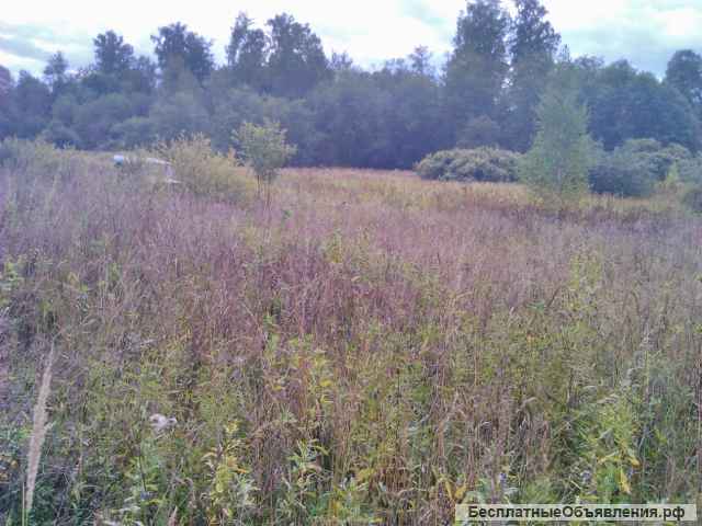 10 соток в жилой деревне. ЛПХ. Рядом река, лес, водохранилище