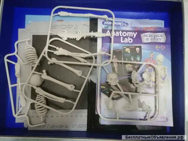 Anatomy Lab Clementoni science & play заказ через сайт Авито Доставка Почта России