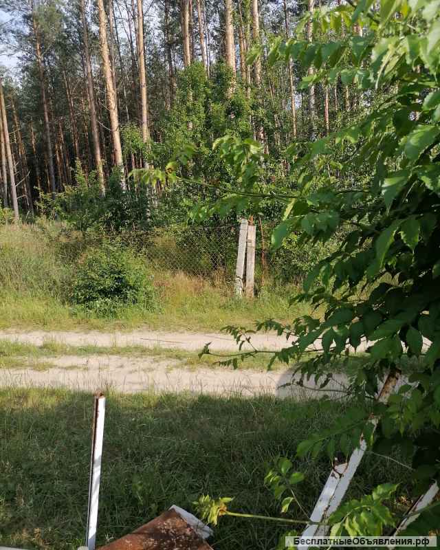 Участок дачный в черте Бреста