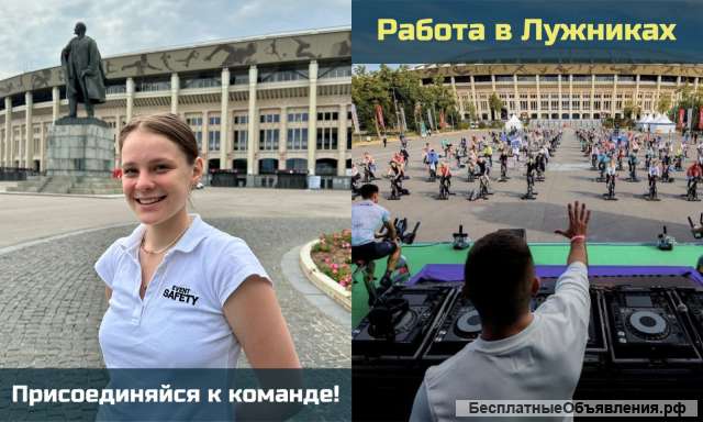 Проектная работа на БСА Лужники