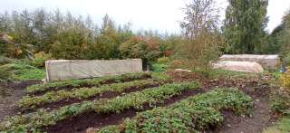 Земельный участок в СНТ Эрудит