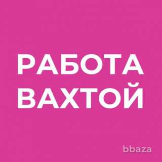 Работа Вахтой без обмана