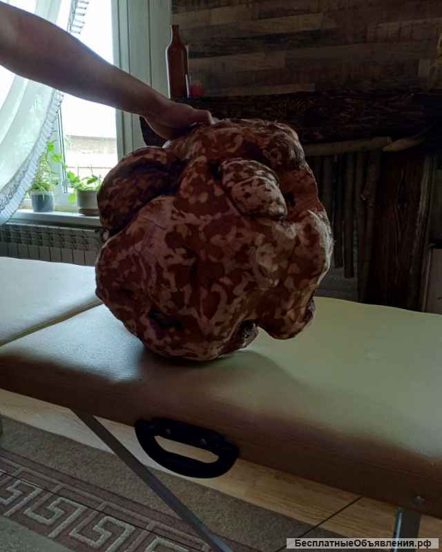 Лик Бога леса Святобора. Кап березовый (сувель)