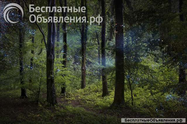 Приворот, отворот в Спб. Снятие порчи, проклятий. Открытие каналов и дорог. Бокор вуду магия