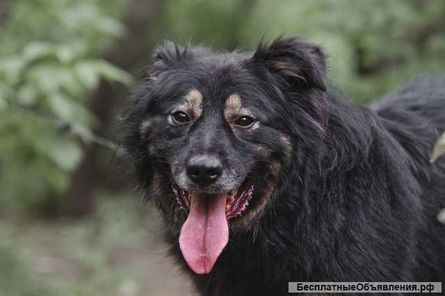 Плюшевый Майк в добрые руки