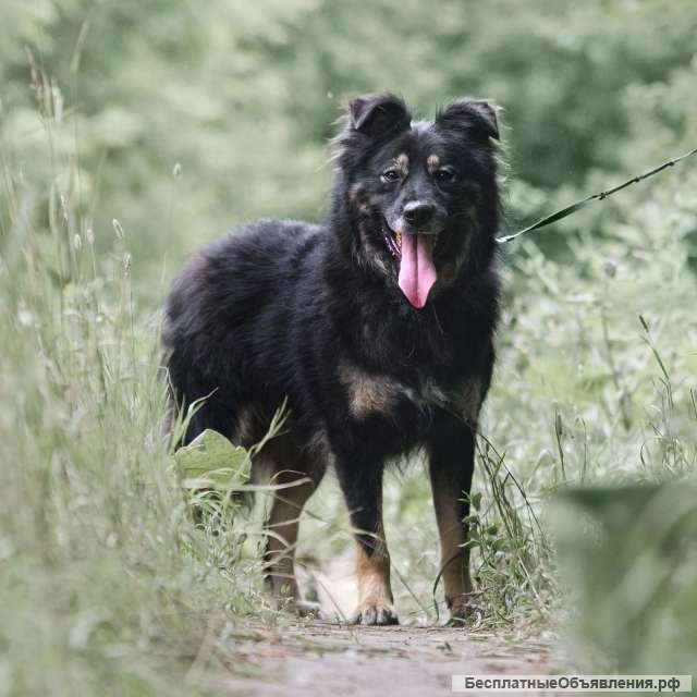 Плюшевый Майк в добрые руки
