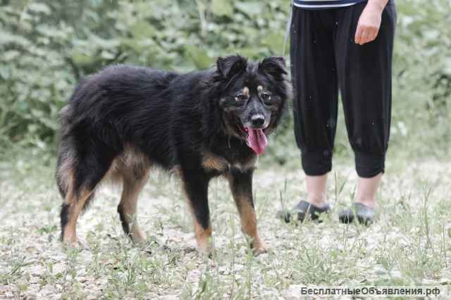 Плюшевый Майк в добрые руки