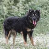 Плюшевый Майк в добрые руки