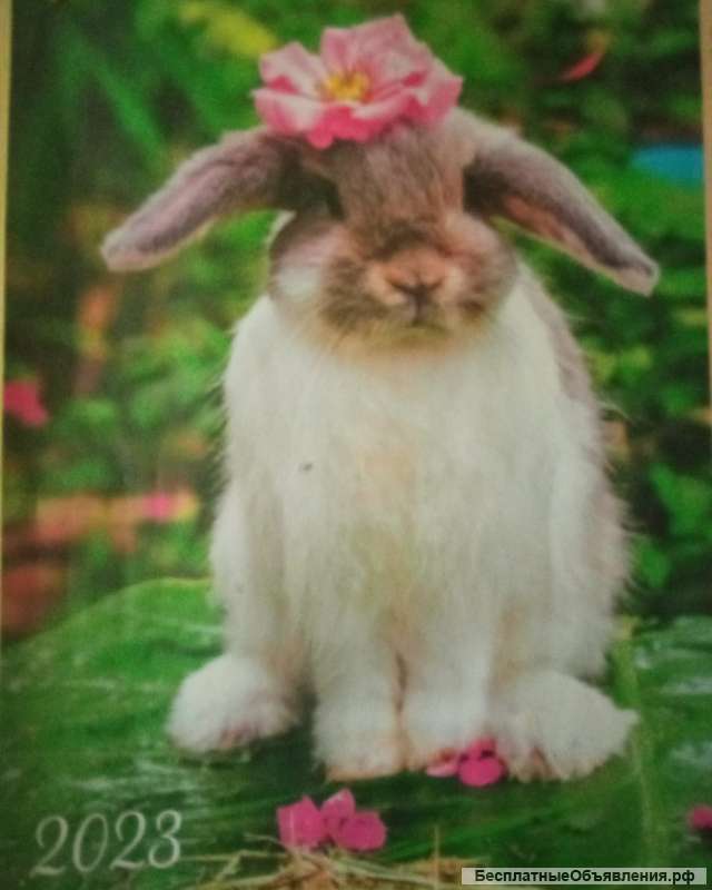 Ищу любую работу