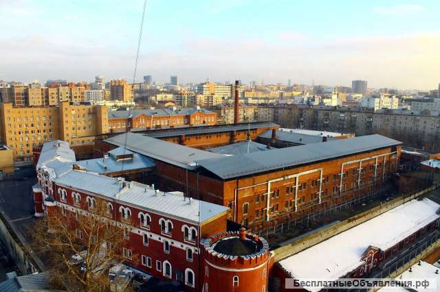 Младший инспектор дежурной службы