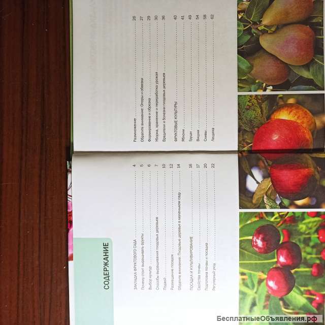 "Фруктовый сад. иллюстрированный справочник