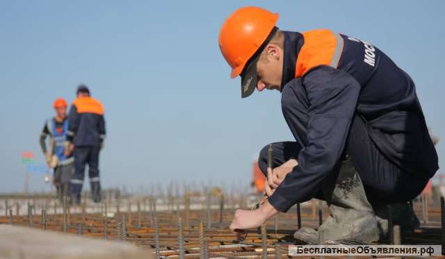 Строительство дома из конопли. Дом из костры конопли.