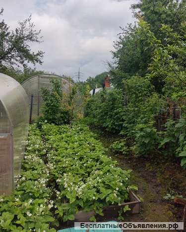 Дача г.Владимир, Сад АО "ВТЗ" 9