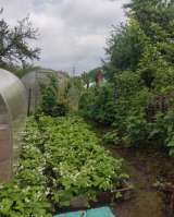 Дача г.Владимир, Сад АО "ВТЗ" 9