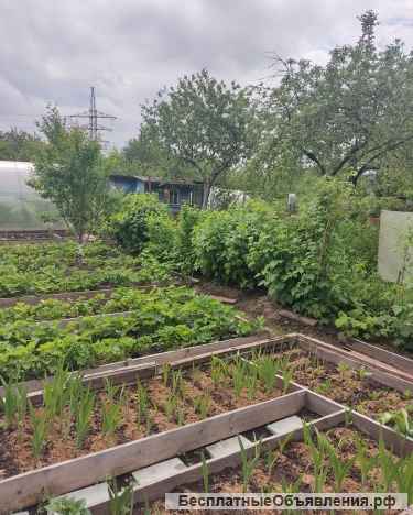 Дача г.Владимир, Сад АО "ВТЗ" 9