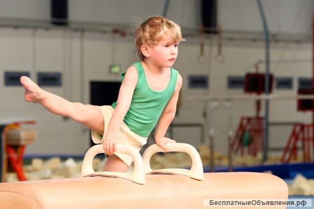 Школа Спортивной гимнастики "Тренер"