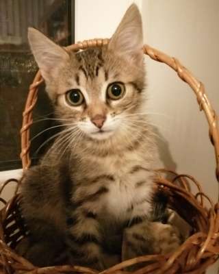 Сладкий парнишка в добрые руки