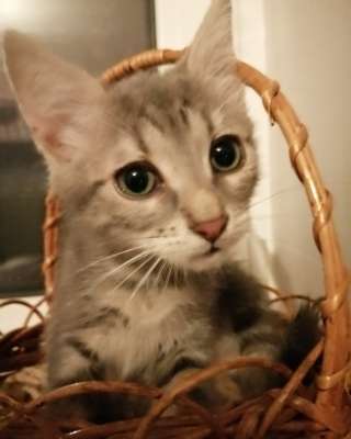 Парнишка - красавчик, любящую семью