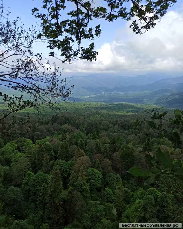 Автобусный тур в Адыгею из Ростова-на-Дону