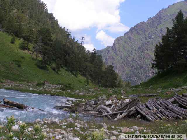 Автобусный тур в Домбай на выходные из Таганрога / Ростова-на-Дону