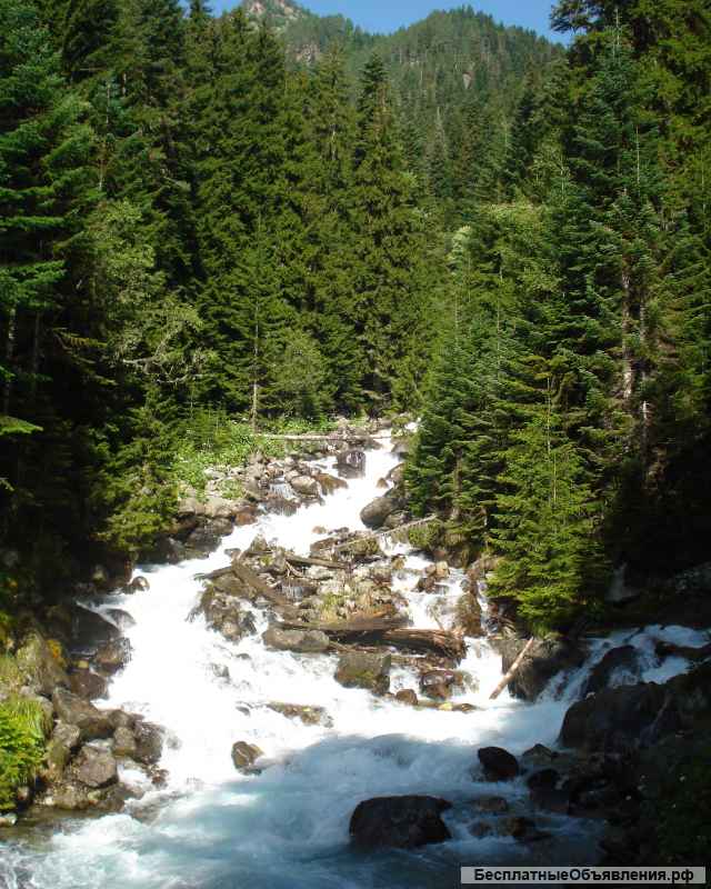 Автобусный тур в Домбай на выходные из Таганрога / Ростова-на-Дону